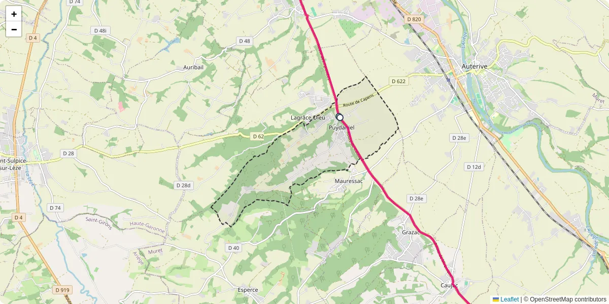 Carte du réseau de transport en commun à Puydaniel - lignes de bus et arrêts