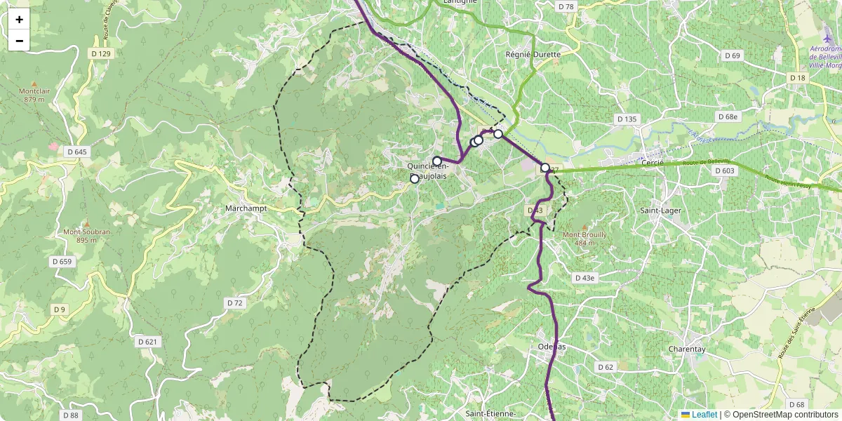 Carte du réseau de transport en commun à Quincié-en-Beaujolais - lignes de bus et arrêts
