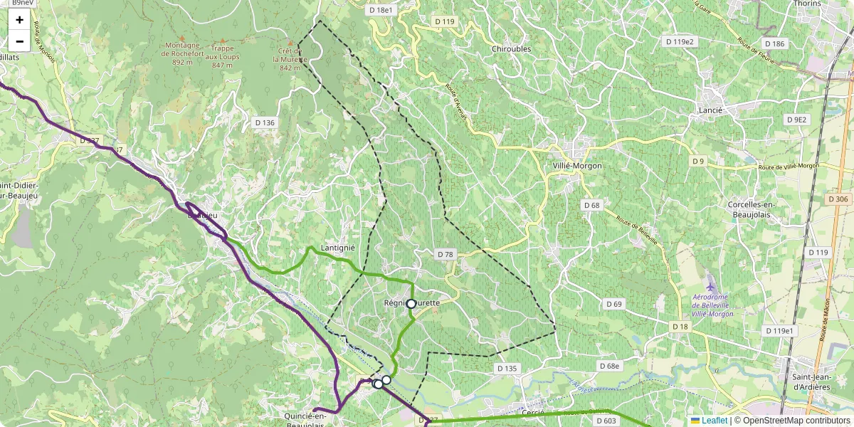 Carte du réseau de transport en commun à Régnié-Durette - lignes de bus et arrêts