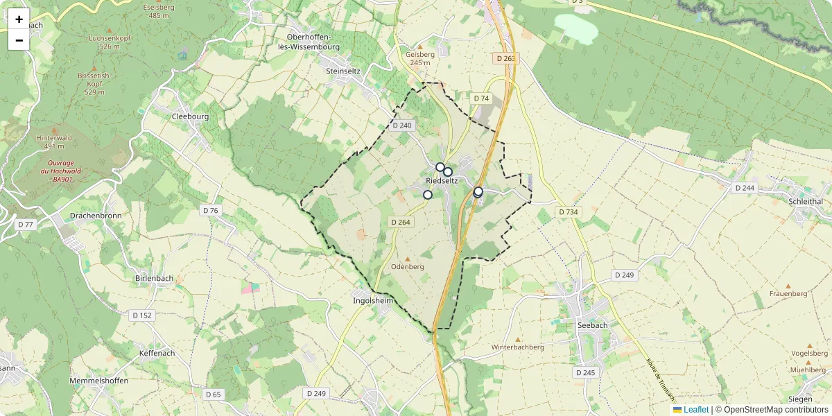 Carte du réseau de transport en commun à Riedseltz - lignes de bus et arrêts