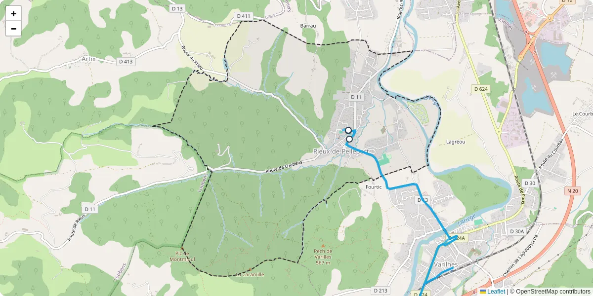 Carte du réseau de transport en commun à Rieux-de-Pelleport - lignes de bus et arrêts