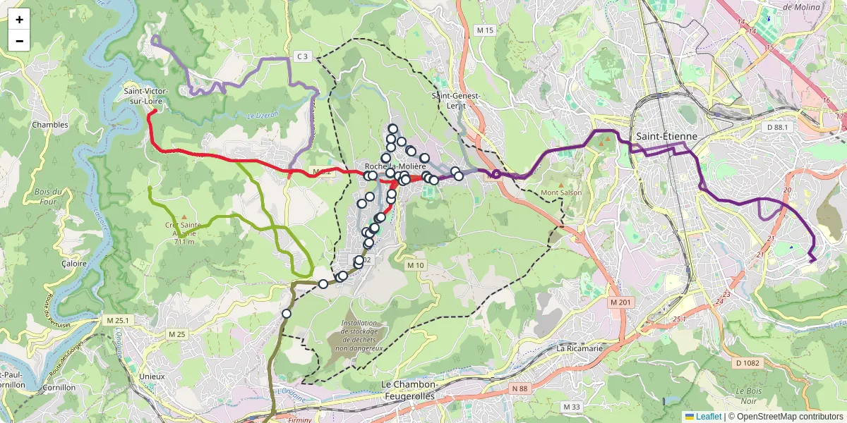 Carte du réseau de transport en commun à Roche-la-Molière - lignes de bus et arrêts