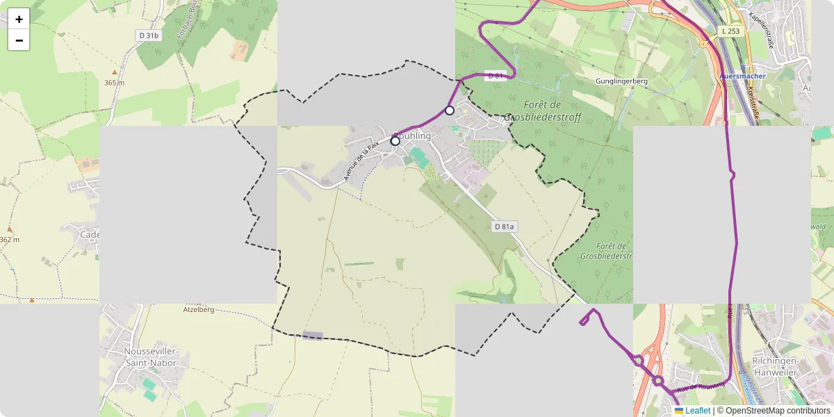 Carte du réseau de transport en commun à Rouhling - lignes de bus et arrêts