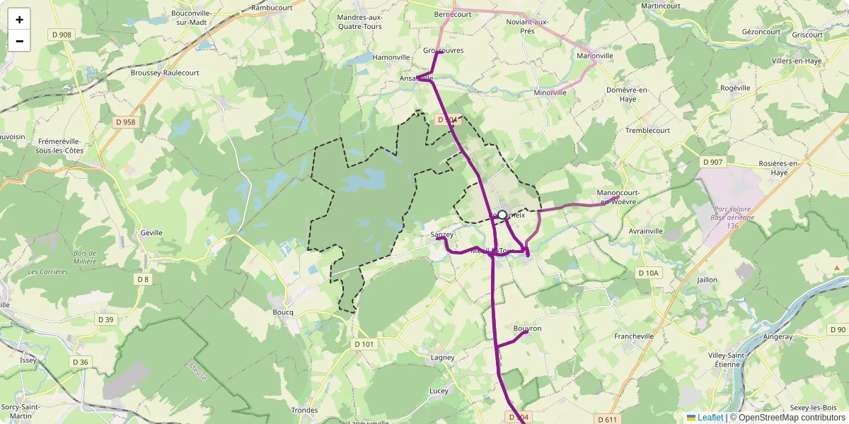 Carte du réseau de transport en commun à Royaumeix - lignes de bus et arrêts