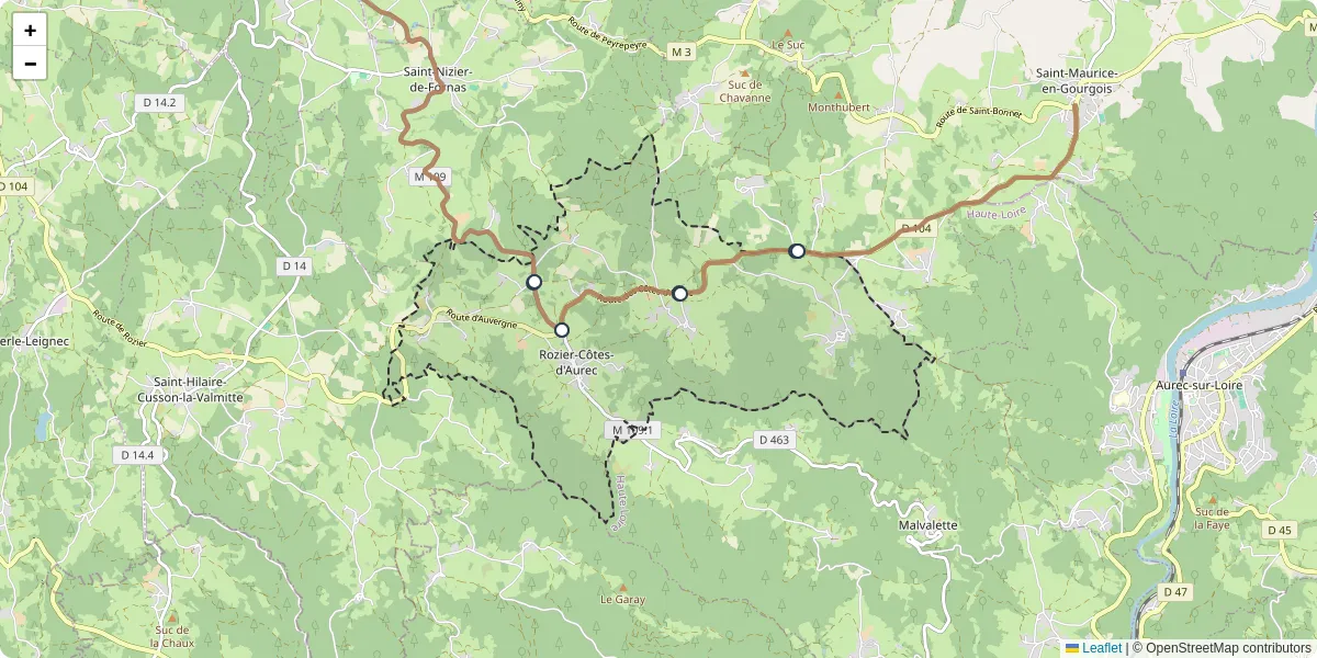 Carte du réseau de transport en commun à Rozier-Côtes-d'Aurec - lignes de bus et arrêts