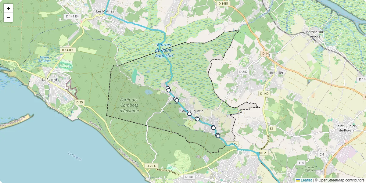 Carte du réseau de transport en commun à Saint-Augustin - lignes de bus et arrêts