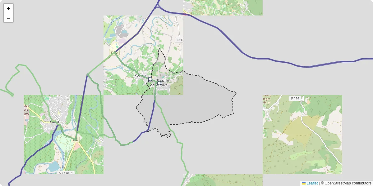 Carte du réseau de transport en commun à Saint-Bauzille-de-la-Sylve - lignes de bus et arrêts