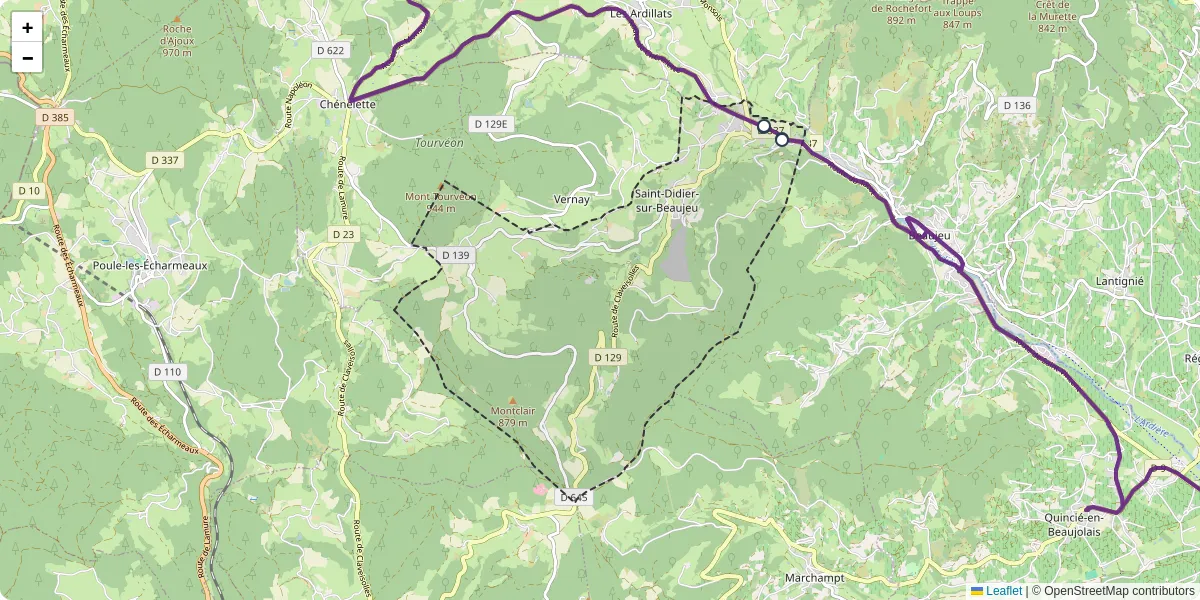 Carte du réseau de transport en commun à Saint-Didier-sur-Beaujeu - lignes de bus et arrêts