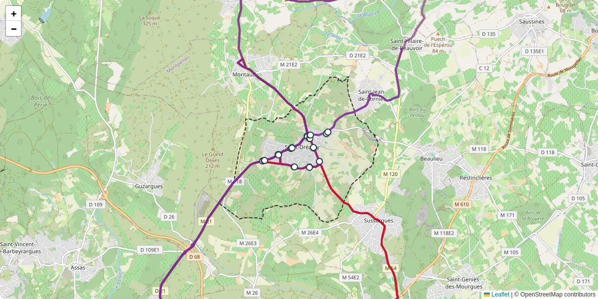 Carte du réseau de transport en commun à Saint-Drézéry - lignes de bus et arrêts