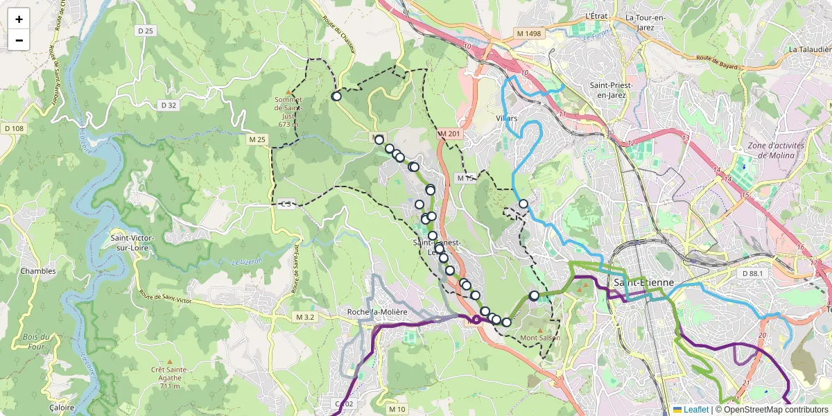 Carte du réseau de transport en commun à Saint-Genest-Lerpt - lignes de bus et arrêts