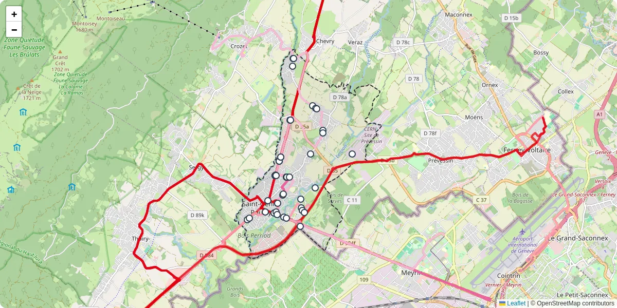 Carte du réseau de transport en commun à Saint-Genis-Pouilly - lignes de bus et arrêts