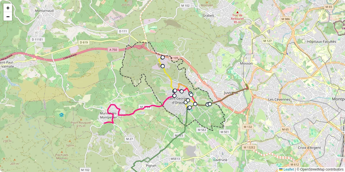 Carte du réseau de transport en commun à Saint-Georges-d'Orques - lignes de bus et arrêts
