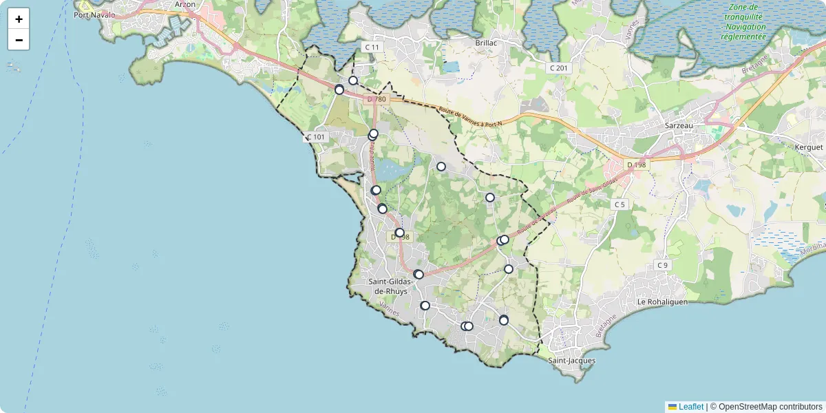 Carte du réseau de transport en commun à Saint-Gildas-de-Rhuys - lignes de bus et arrêts