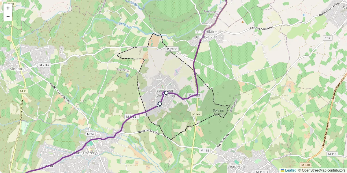 Carte du réseau de transport en commun à Saint-Jean-de-Cornies - lignes de bus et arrêts