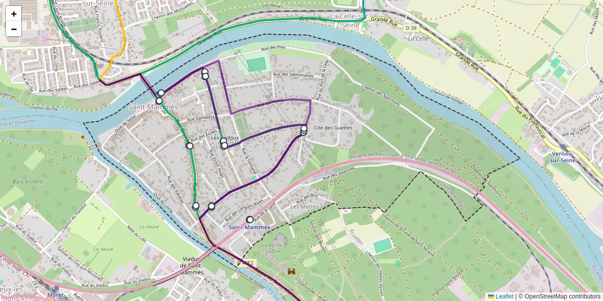 Carte du réseau de transport en commun à Saint-Mammès - lignes de bus et arrêts