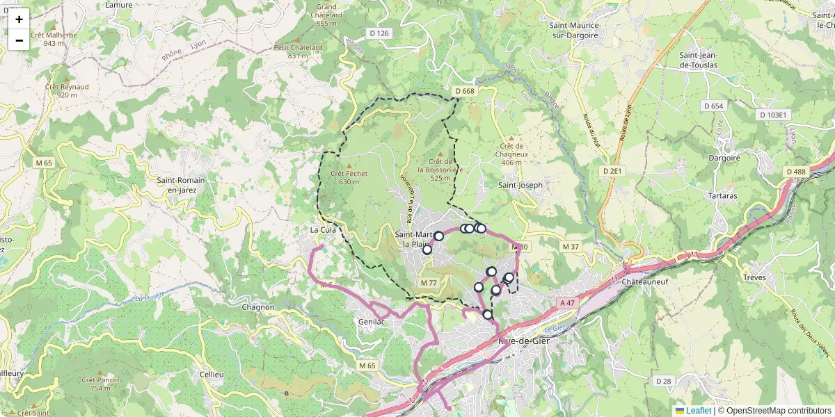 Carte du réseau de transport en commun à Saint-Martin-la-Plaine - lignes de bus et arrêts