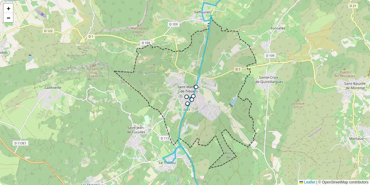 Carte du réseau de transport en commun à Saint-Mathieu-de-Tréviers - lignes de bus et arrêts