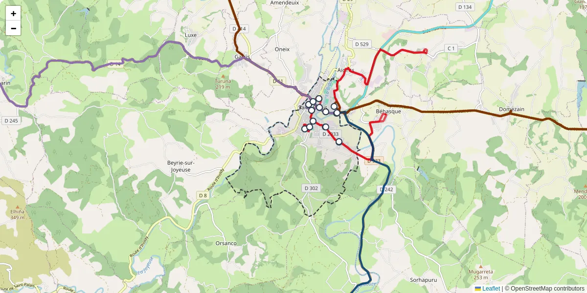 Carte du réseau de transport en commun à Saint-Palais - lignes de bus et arrêts