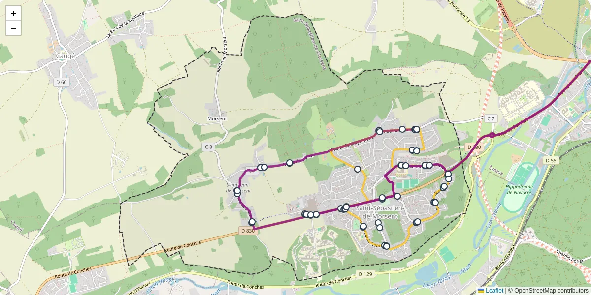 Carte du réseau de transport en commun à Saint-Sébastien-de-Morsent - lignes de bus et arrêts