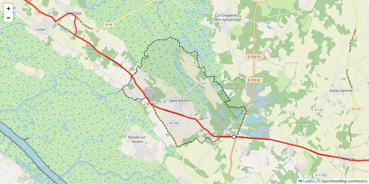 Carte du réseau de transport en commun à Saint-Sornin - lignes de bus et arrêts