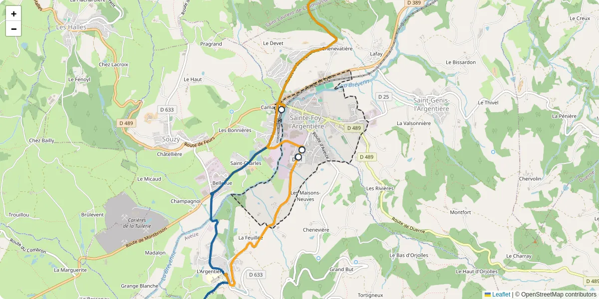 Carte du réseau de transport en commun à Sainte-Foy-l'Argentière - lignes de bus et arrêts