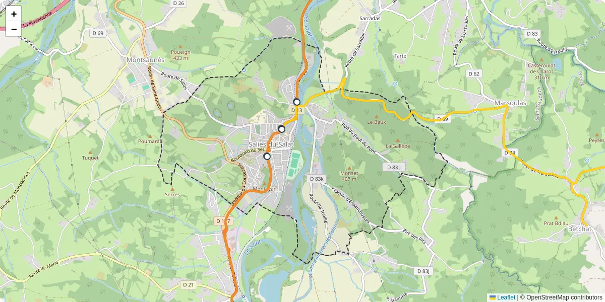 Carte du réseau de transport en commun à Salies-du-Salat - lignes de bus et arrêts