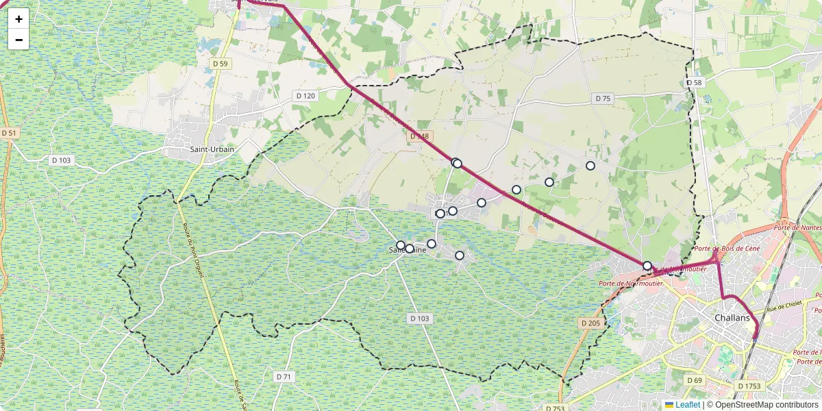 Carte du réseau de transport en commun à Sallertaine - lignes de bus et arrêts