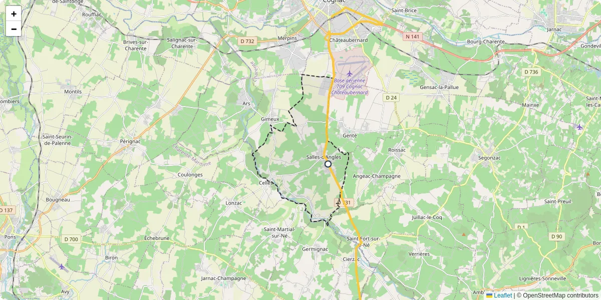 Carte du réseau de transport en commun à Salles-d'Angles - lignes de bus et arrêts