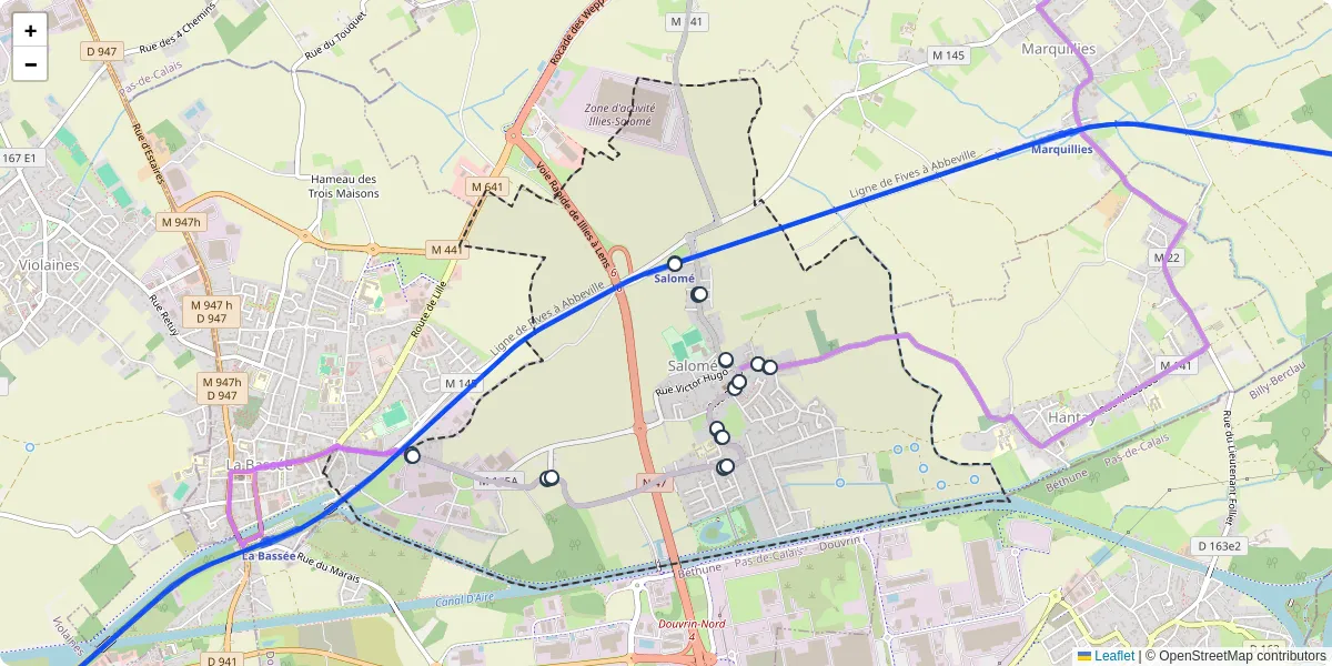 Carte du réseau de transport en commun à Salomé - lignes de bus et arrêts