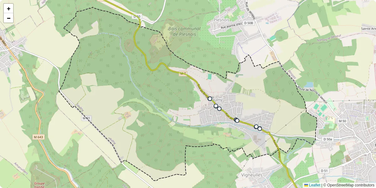 Carte du réseau de transport en commun à Saulny - lignes de bus et arrêts