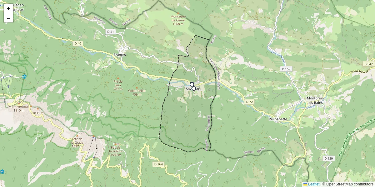 Carte du réseau de transport en commun à Savoillan - lignes de bus et arrêts