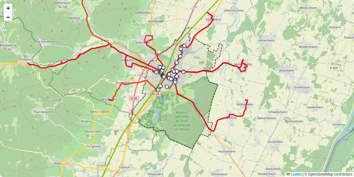 Carte du réseau de transport en commun à Sélestat - lignes de bus et arrêts
