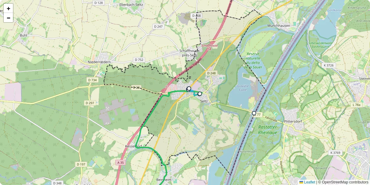 Carte du réseau de transport en commun à Seltz - lignes de bus et arrêts