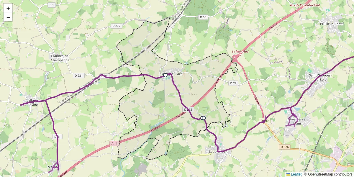 Carte du réseau de transport en commun à Souligné-Flacé - lignes de bus et arrêts