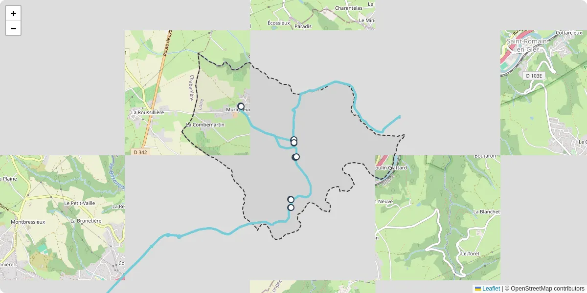 Carte du réseau de transport en commun à Tartaras - lignes de bus et arrêts