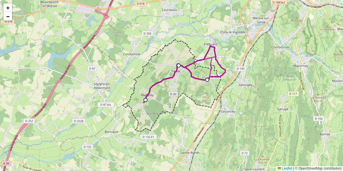 Carte du réseau de transport en commun à Trenal - lignes de bus et arrêts