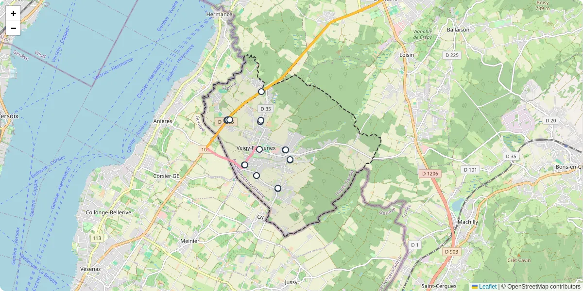 Carte du réseau de transport en commun à Veigy-Foncenex - lignes de bus et arrêts