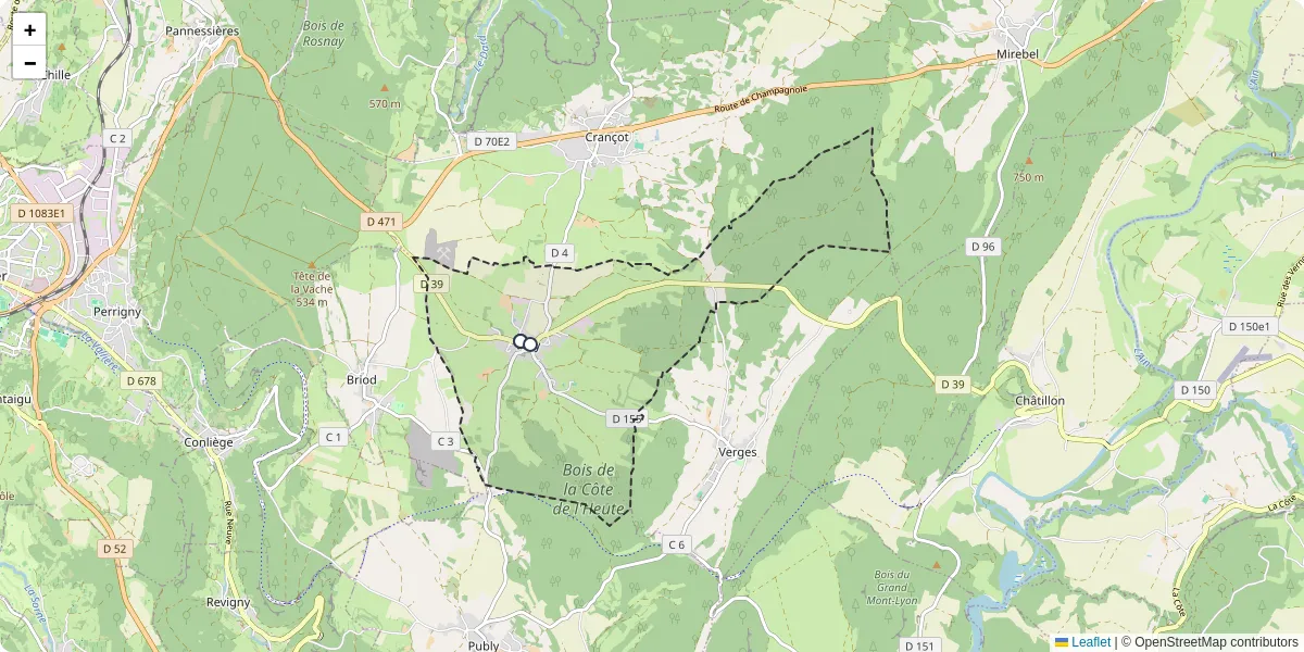 Carte du réseau de transport en commun à Vevy - lignes de bus et arrêts
