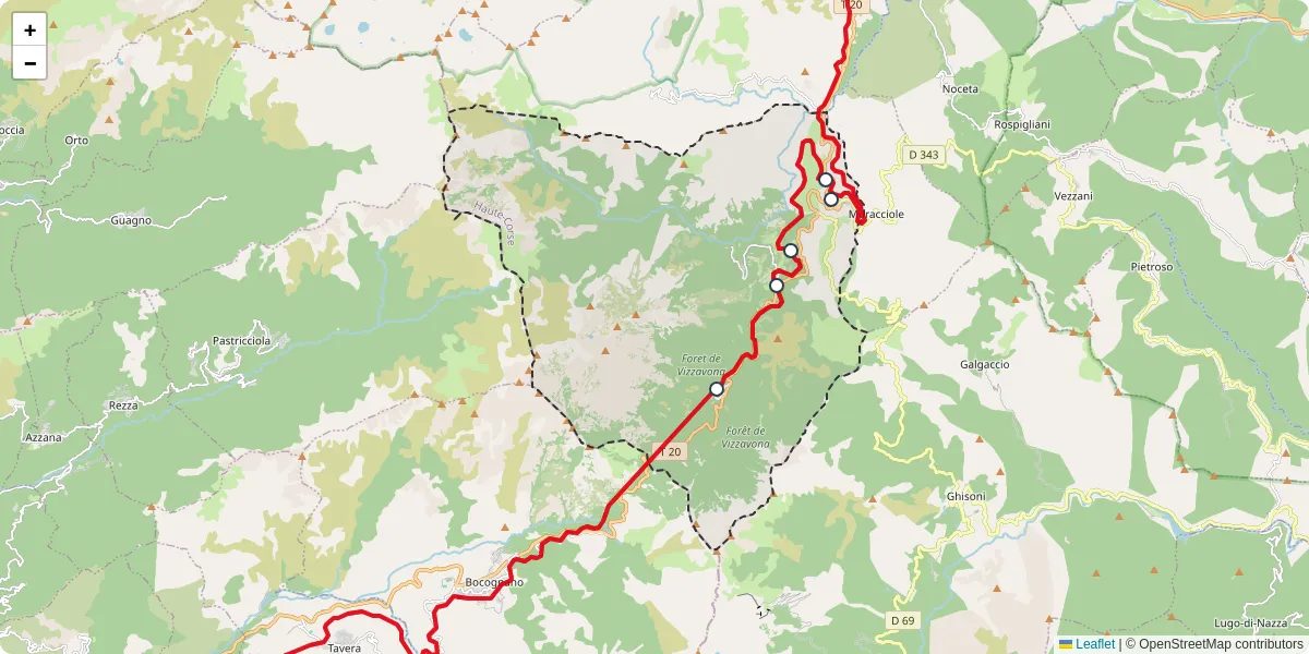Carte du réseau de transport en commun à Vivario - lignes de bus et arrêts