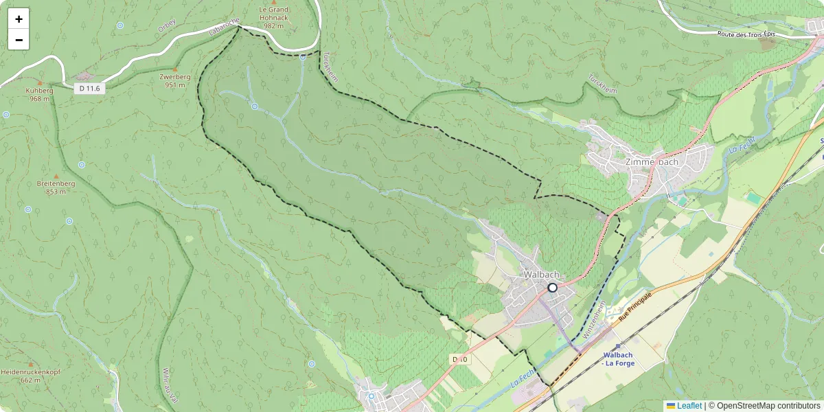 Carte du réseau de transport en commun à Walbach - lignes de bus et arrêts