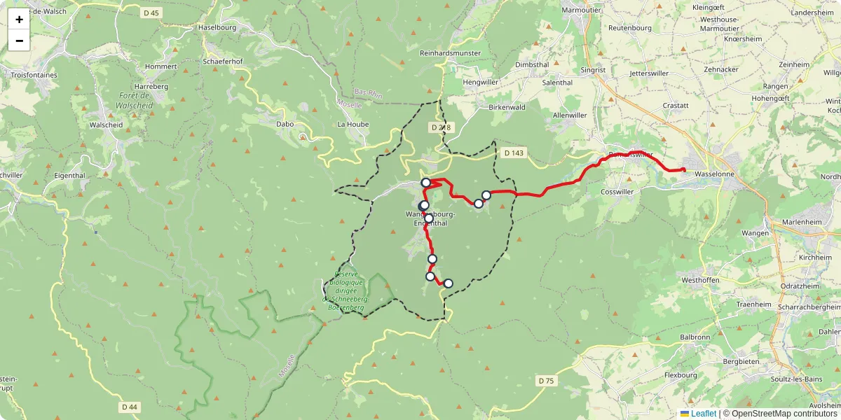 Carte du réseau de transport en commun à Wangenbourg-Engenthal - lignes de bus et arrêts