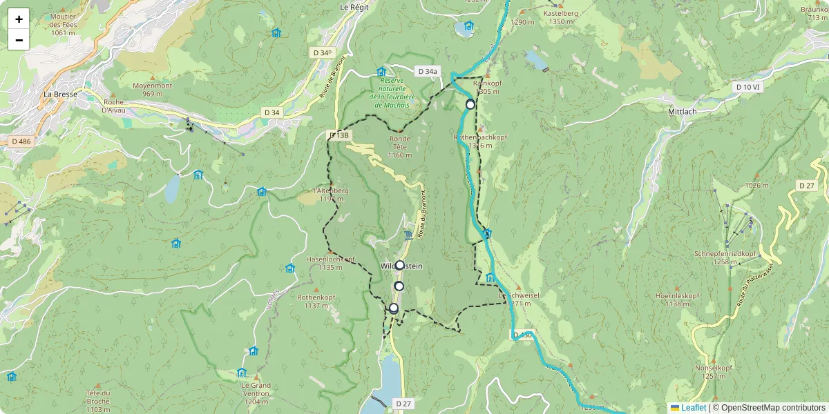 Carte du réseau de transport en commun à Wildenstein - lignes de bus et arrêts
