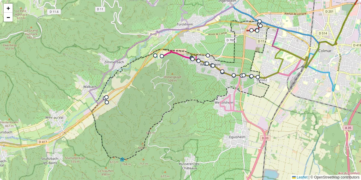 Carte du réseau de transport en commun à Wintzenheim - lignes de bus et arrêts